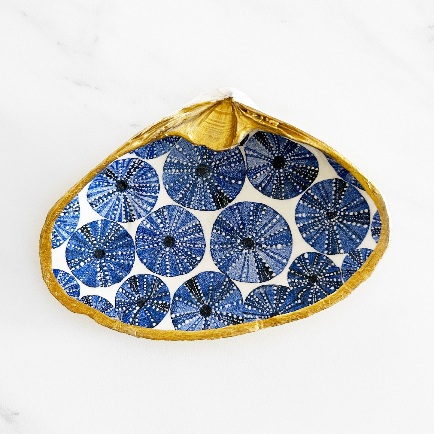 Blue Sea Urchin Decoupage Clam Shell Trinket Dish