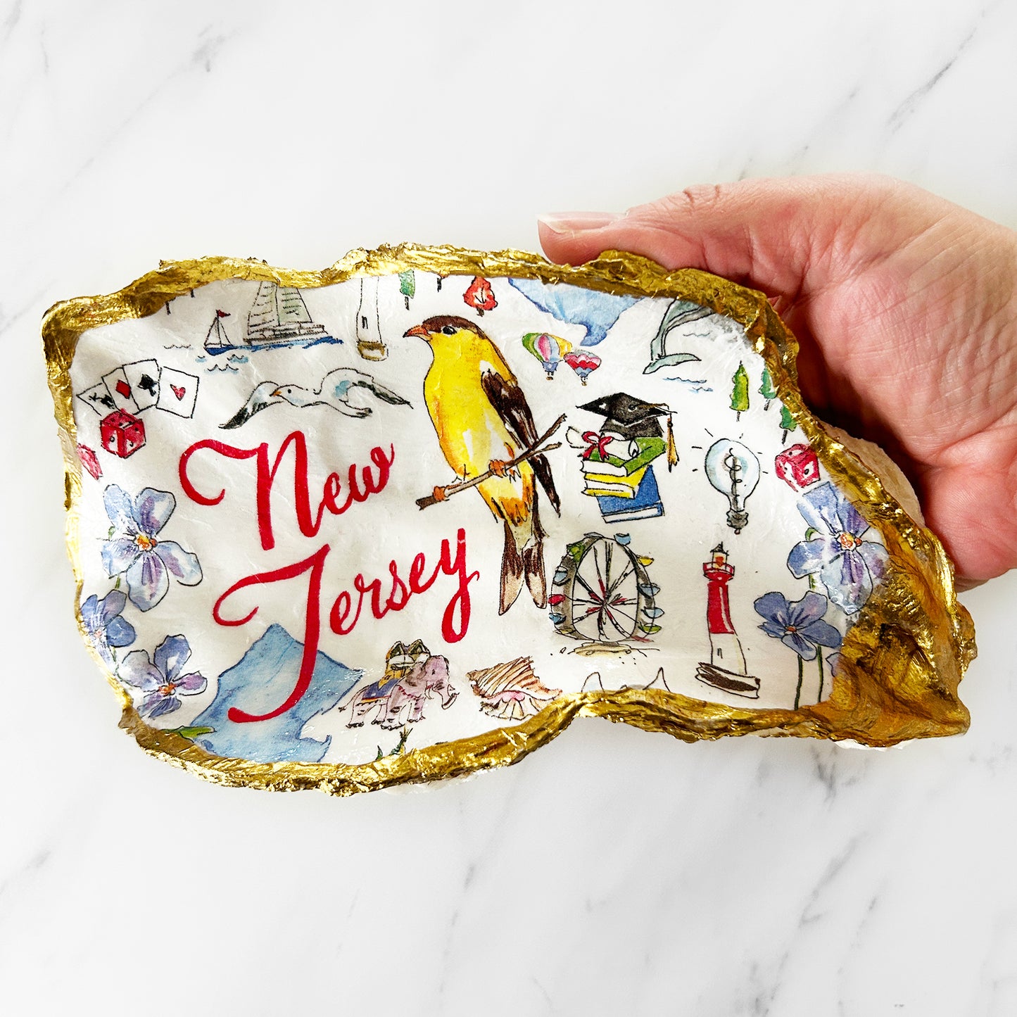 Large New Jersey Oyster Shell One-of-a-Kind
