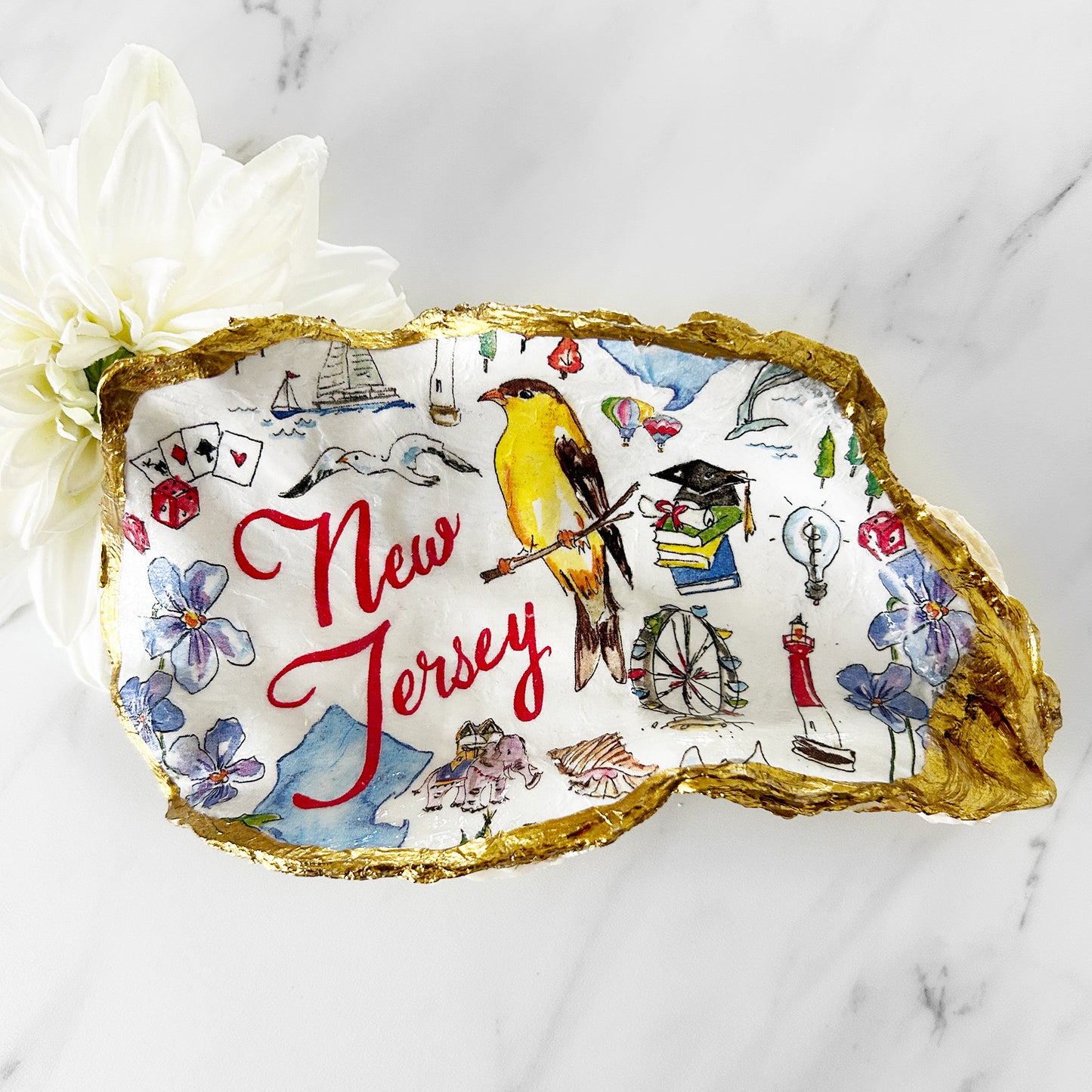 Large New Jersey Oyster Shell One-of-a-Kind