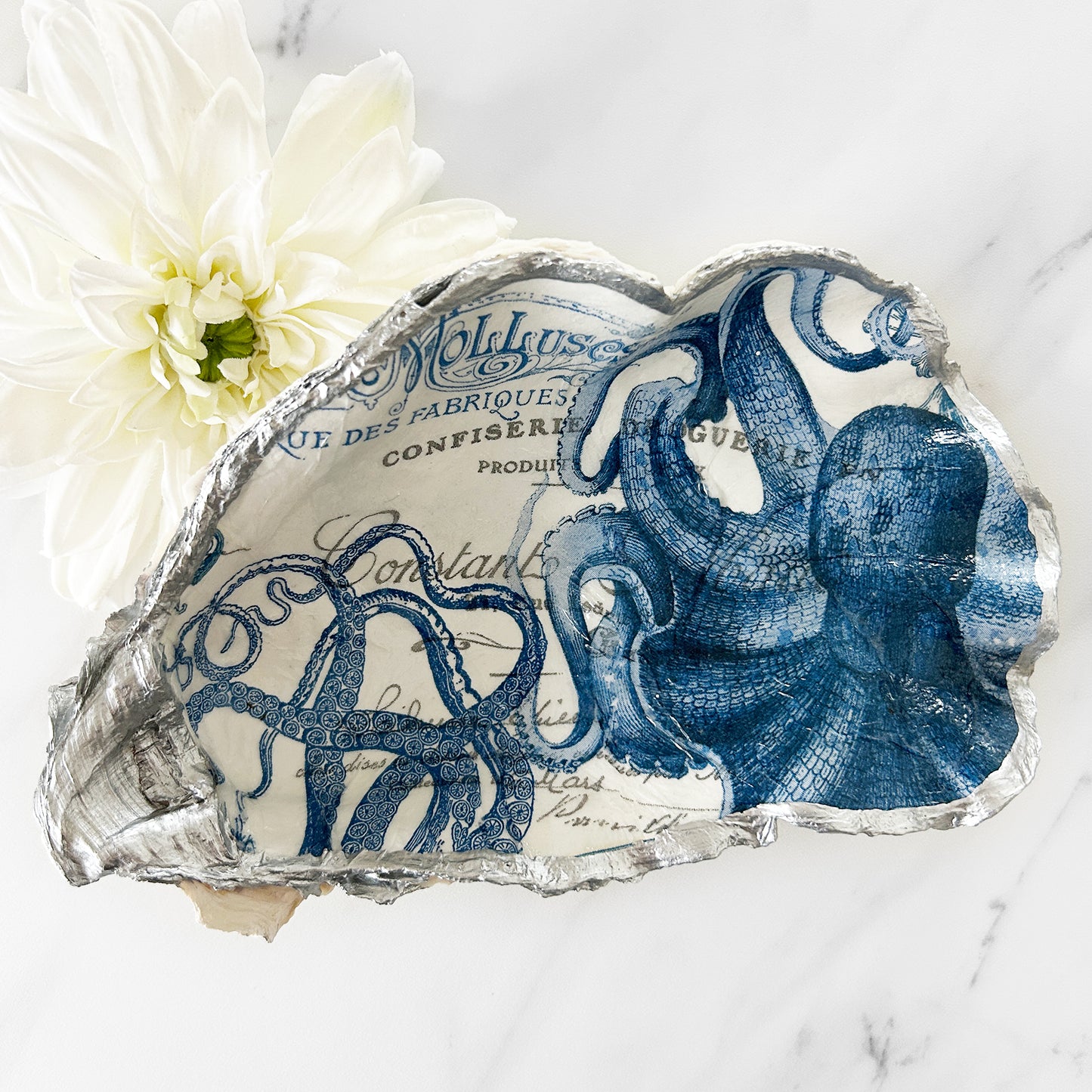 Large Blue Octopus Oyster Shell One-of-a-Kind