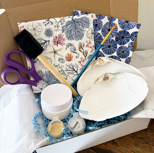 DIY Clam Shell Decoupage Mini Kit - Ocean Life