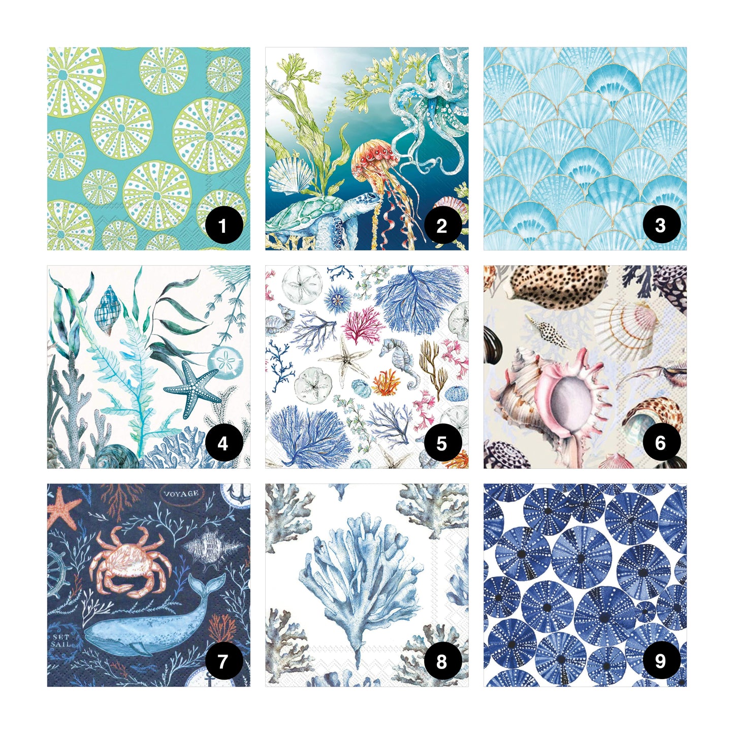 DIY Clam Shell Decoupage Kit - Ocean Life