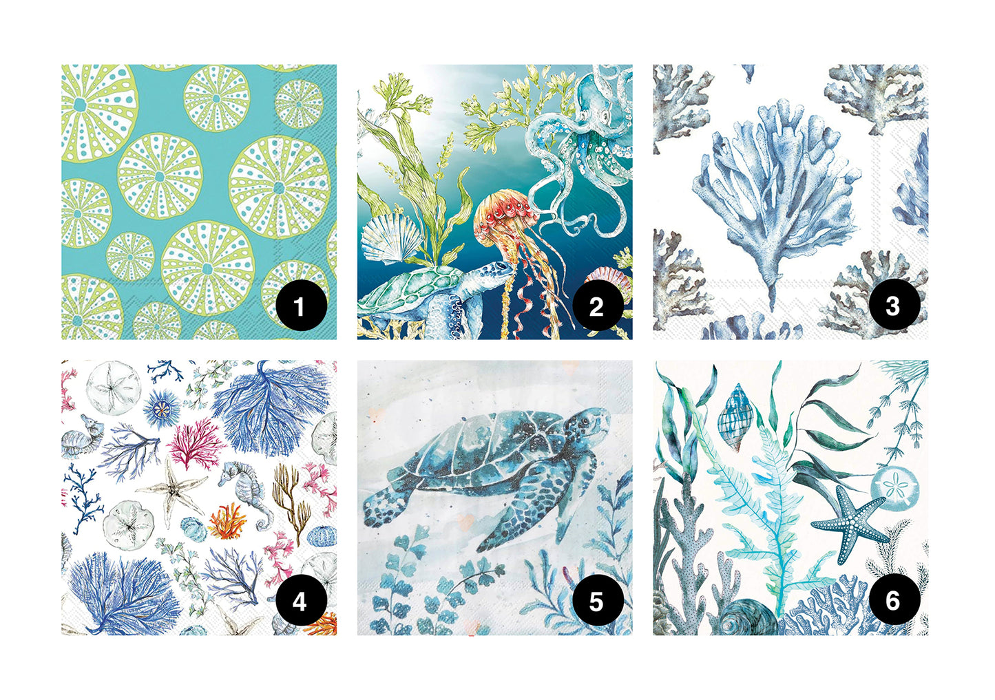 DIY Clam Shell Ocean Beach Mini Decoupage Kit