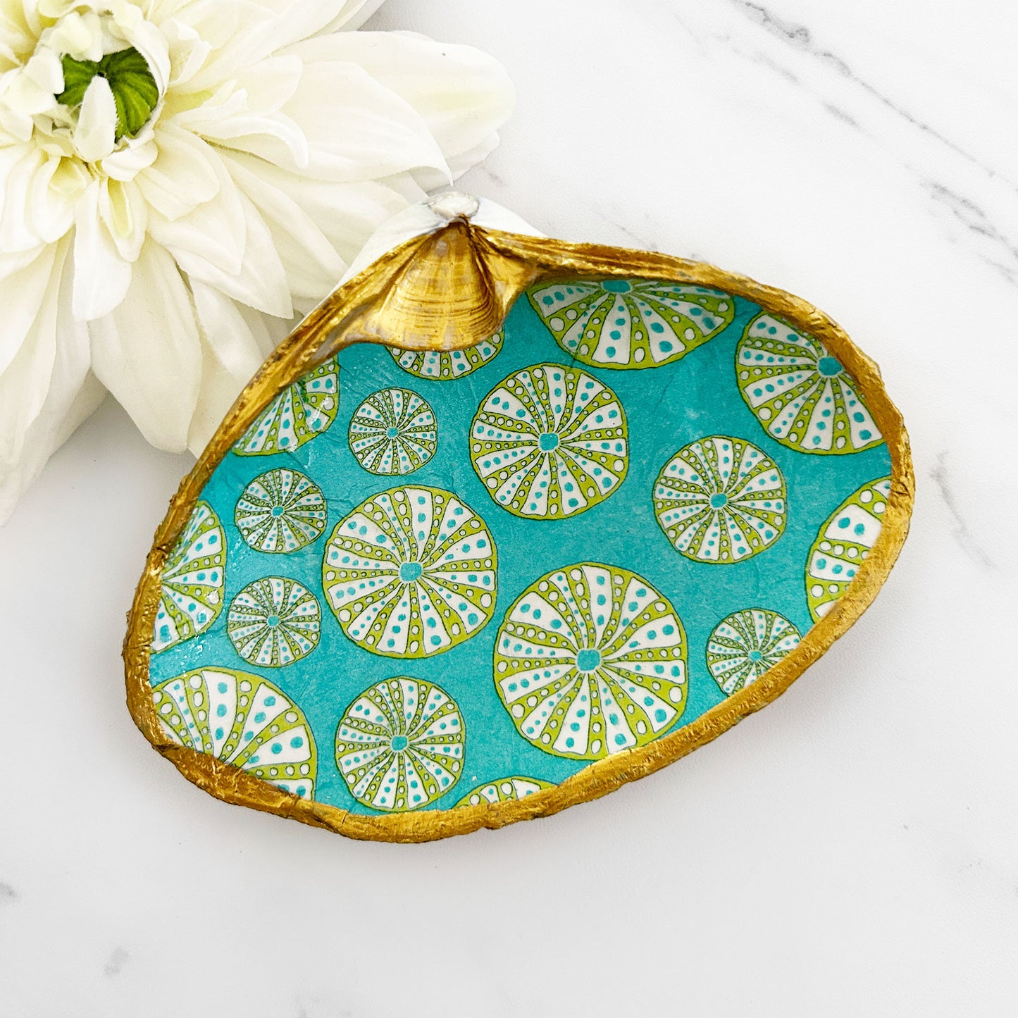 Sea Urchin Teal Background Decoupage Clam Shell Trinket Dish