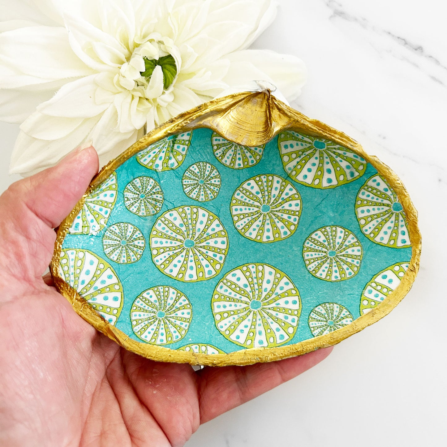 Sea Urchin Teal Background Decoupage Clam Shell Trinket Dish