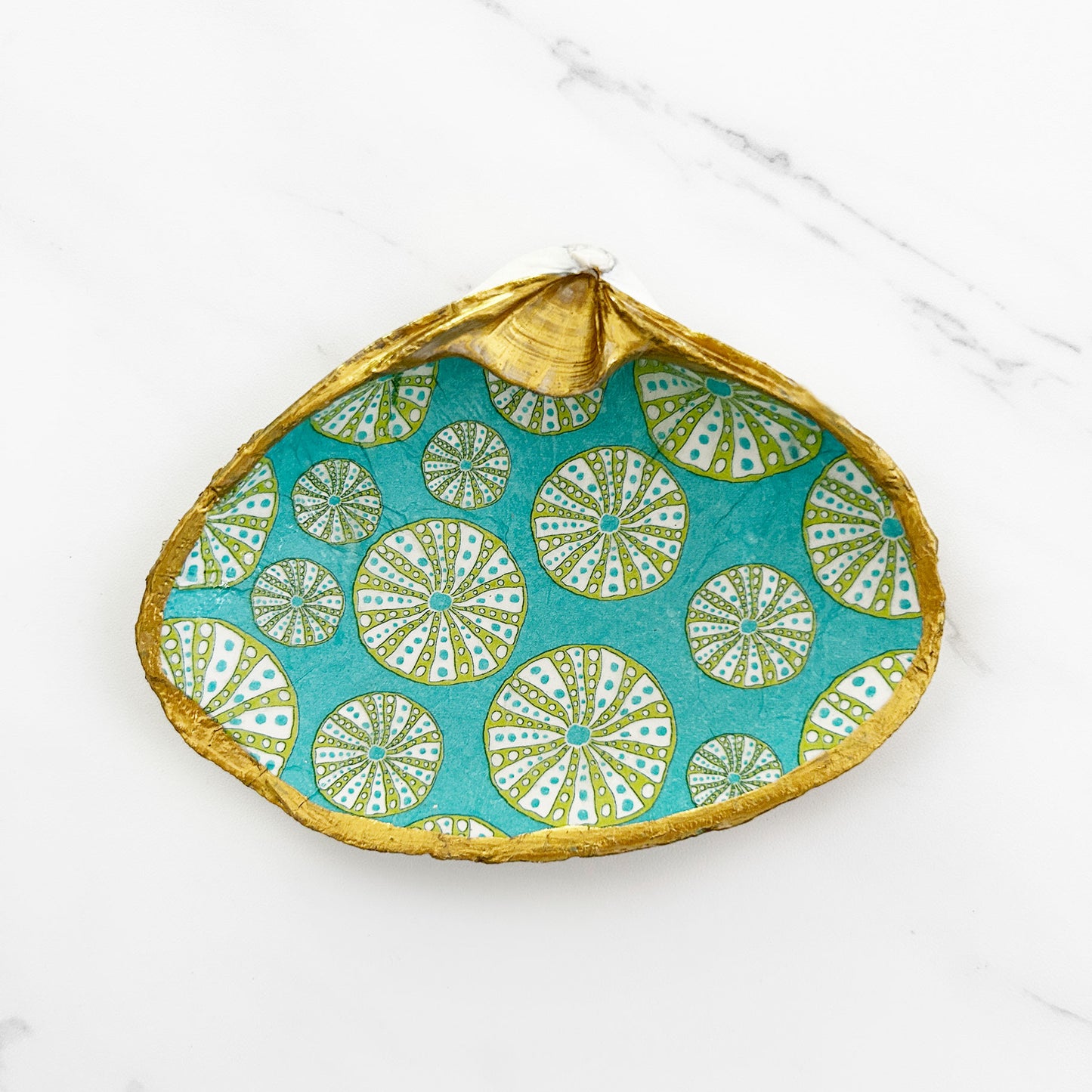 Sea Urchin Teal Background Decoupage Clam Shell Trinket Dish