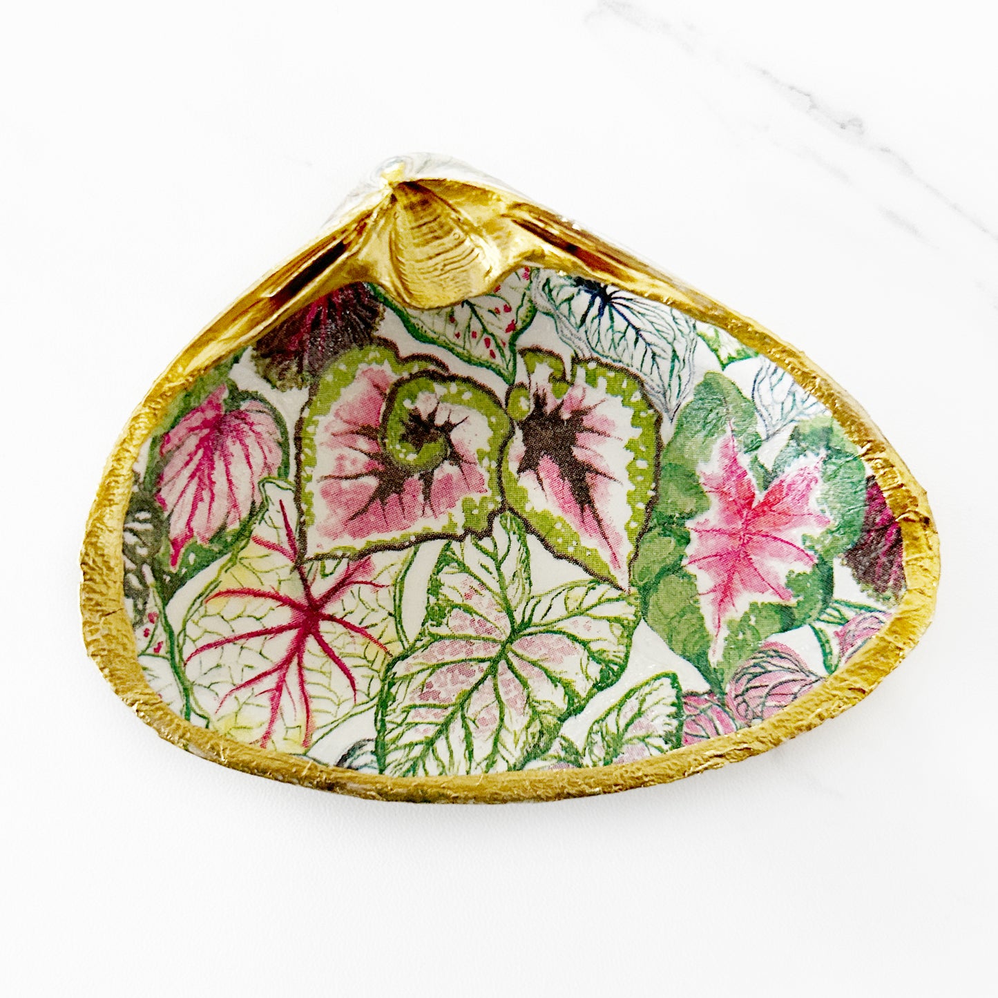 Caladium Plant Decoupage Clam Shell Trinket Dish