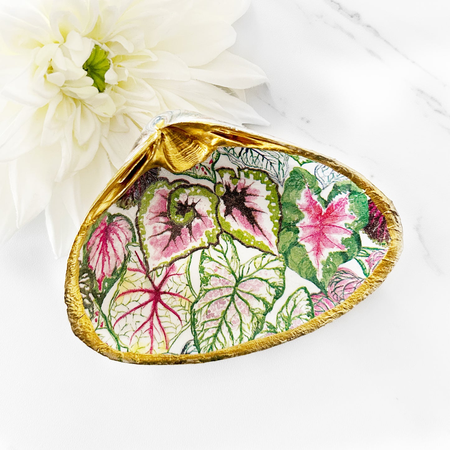 Caladium Plant Decoupage Clam Shell Trinket Dish