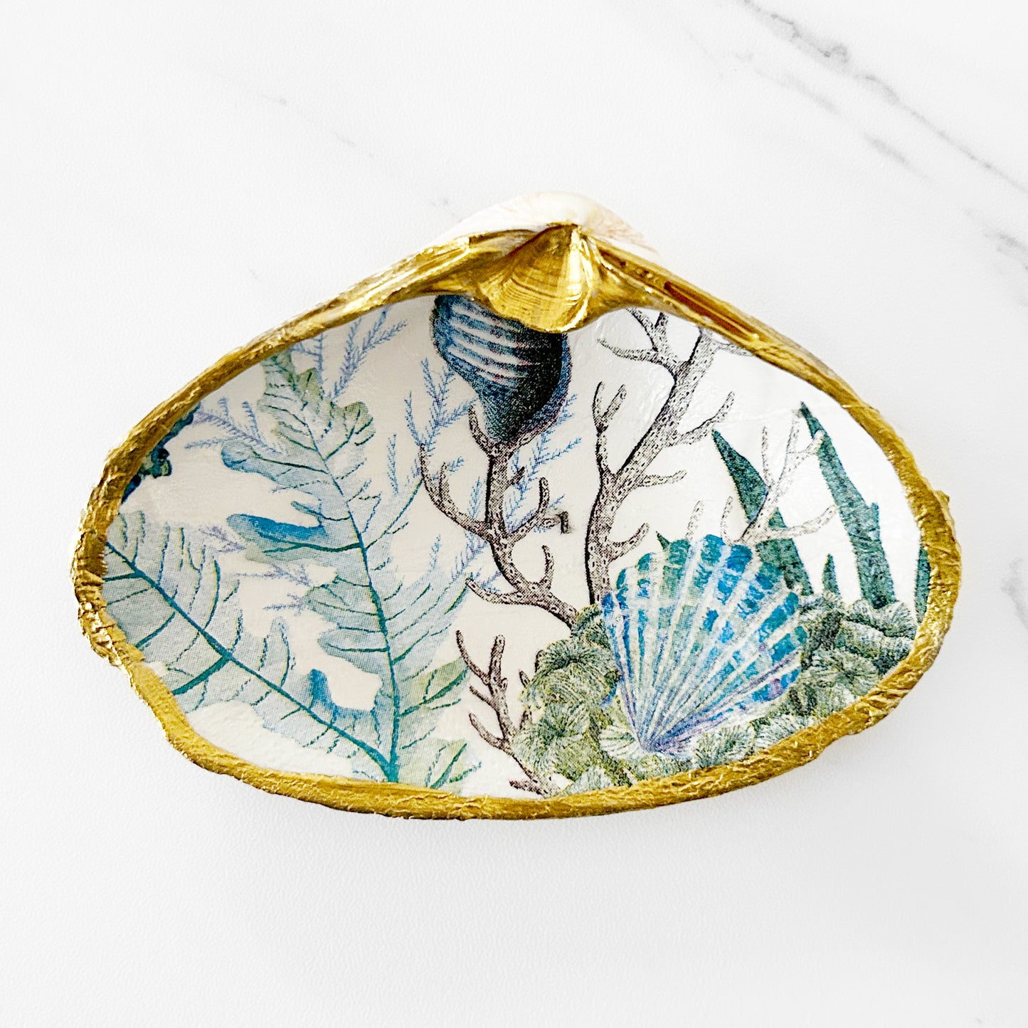 Starfish Coral Reef Decoupage Clam Shell Trinket Dish