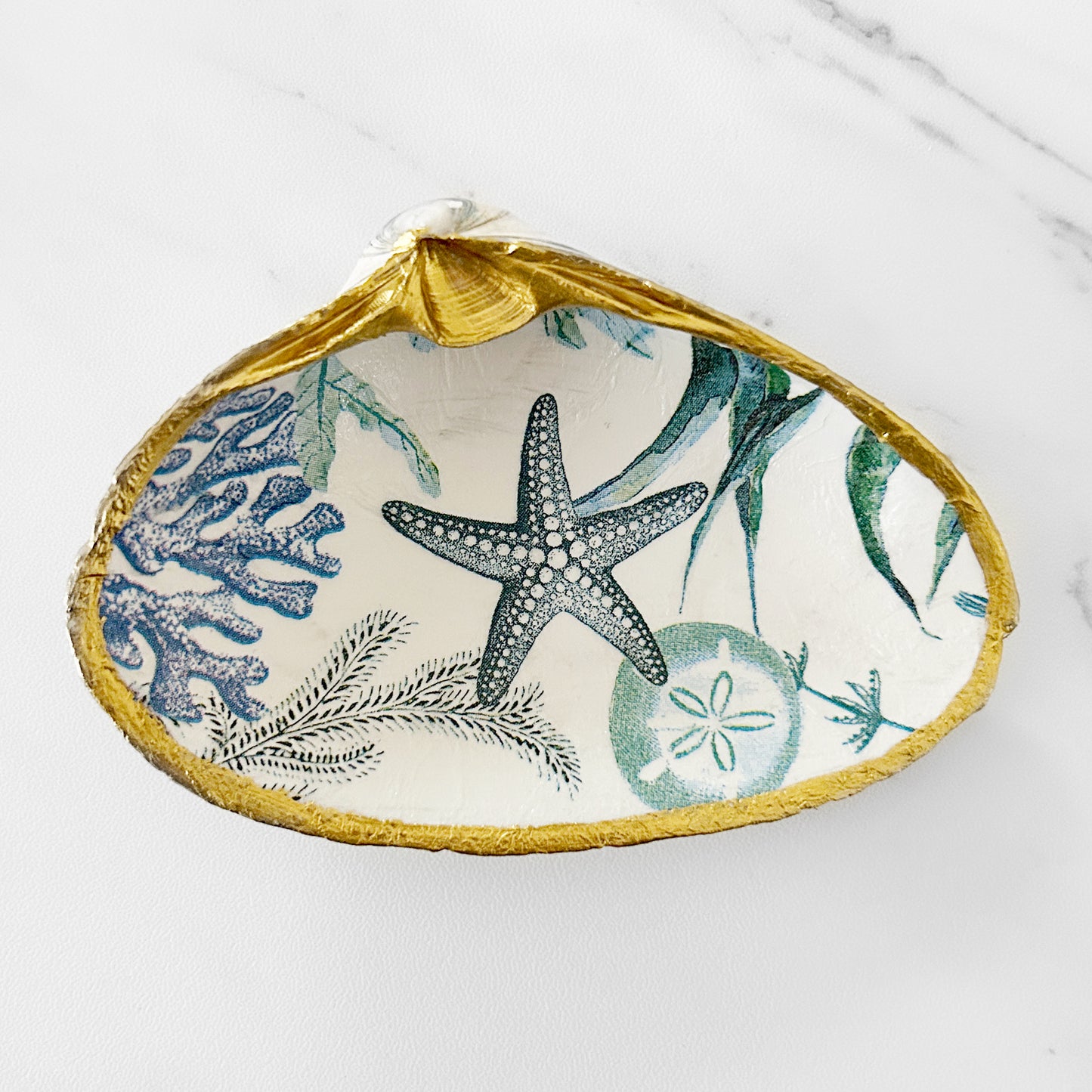 Starfish Coral Reef Decoupage Clam Shell Trinket Dish