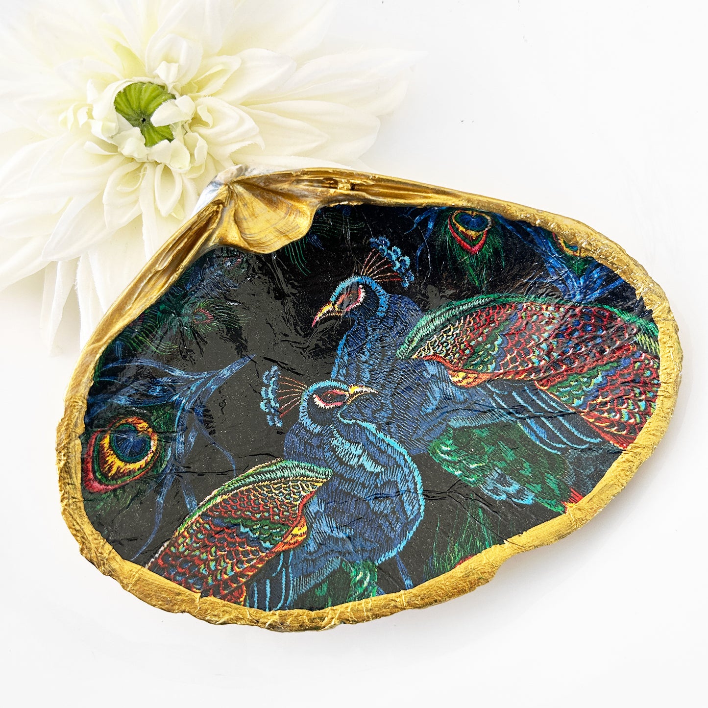 Bold Peacock Extra Large Clam Shell Trinket Dish