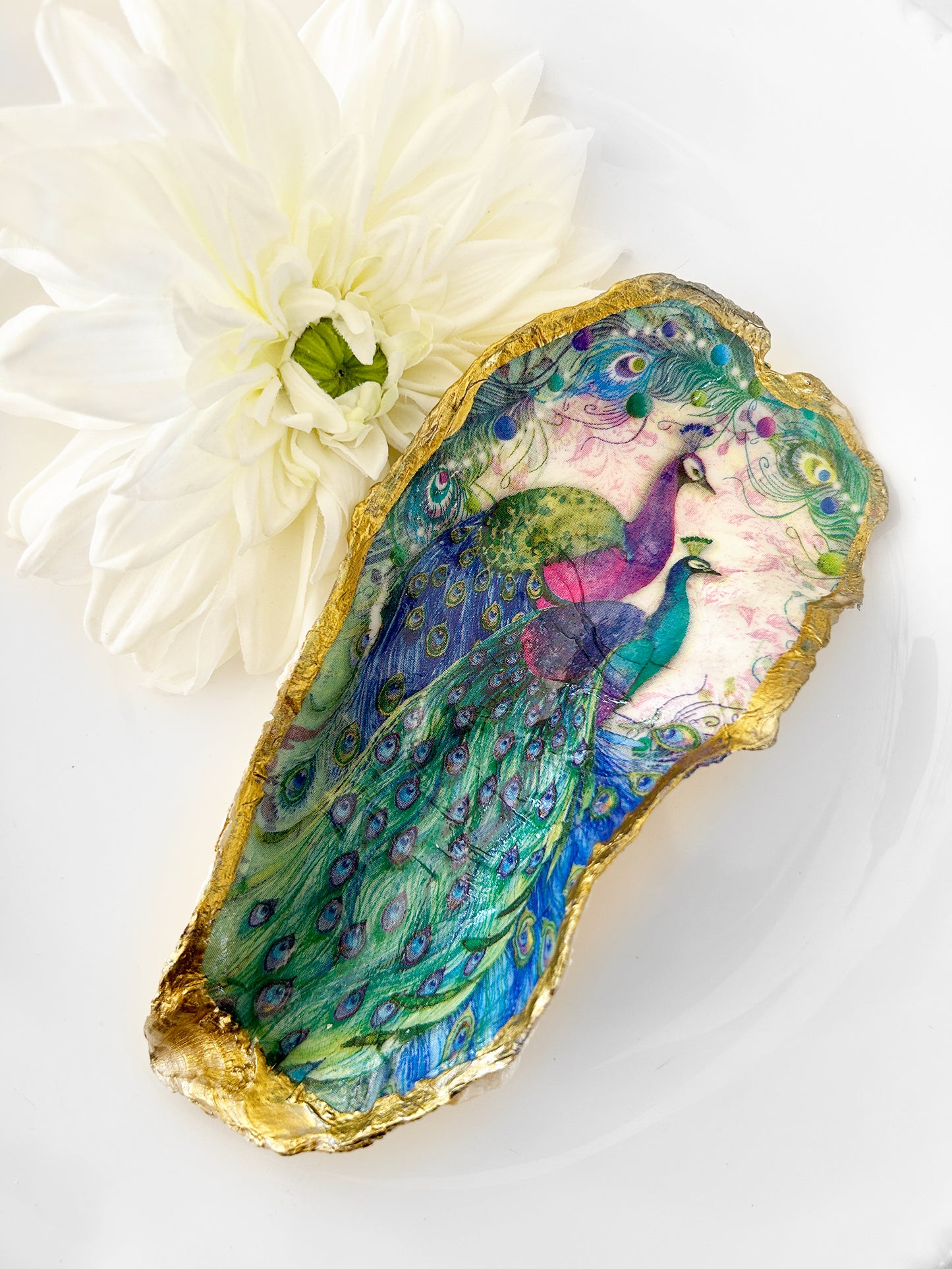 Colorful Peacock Pair Large Oyster Shell
