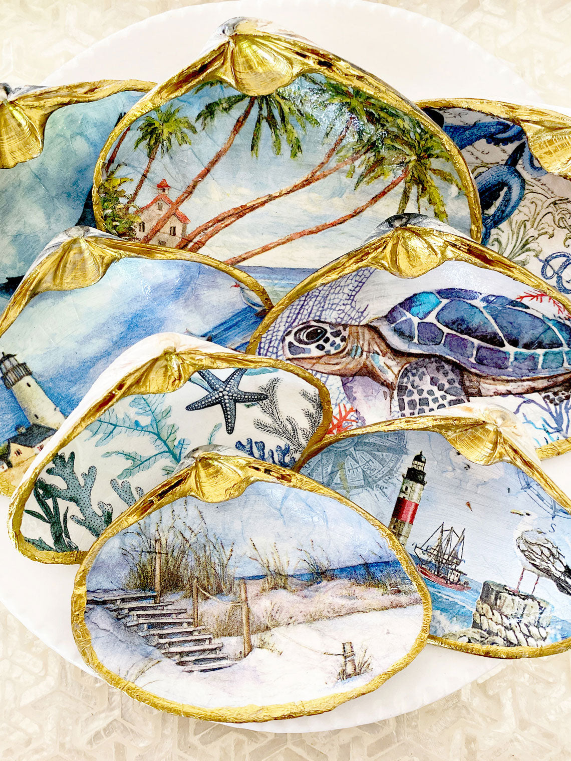 Shell Cam Designs Clam Shell Trinkets – Adoridesigns