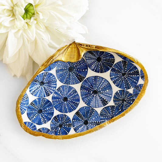 Blue Sea Urchin Decoupage Clam Shell Trinket Dish