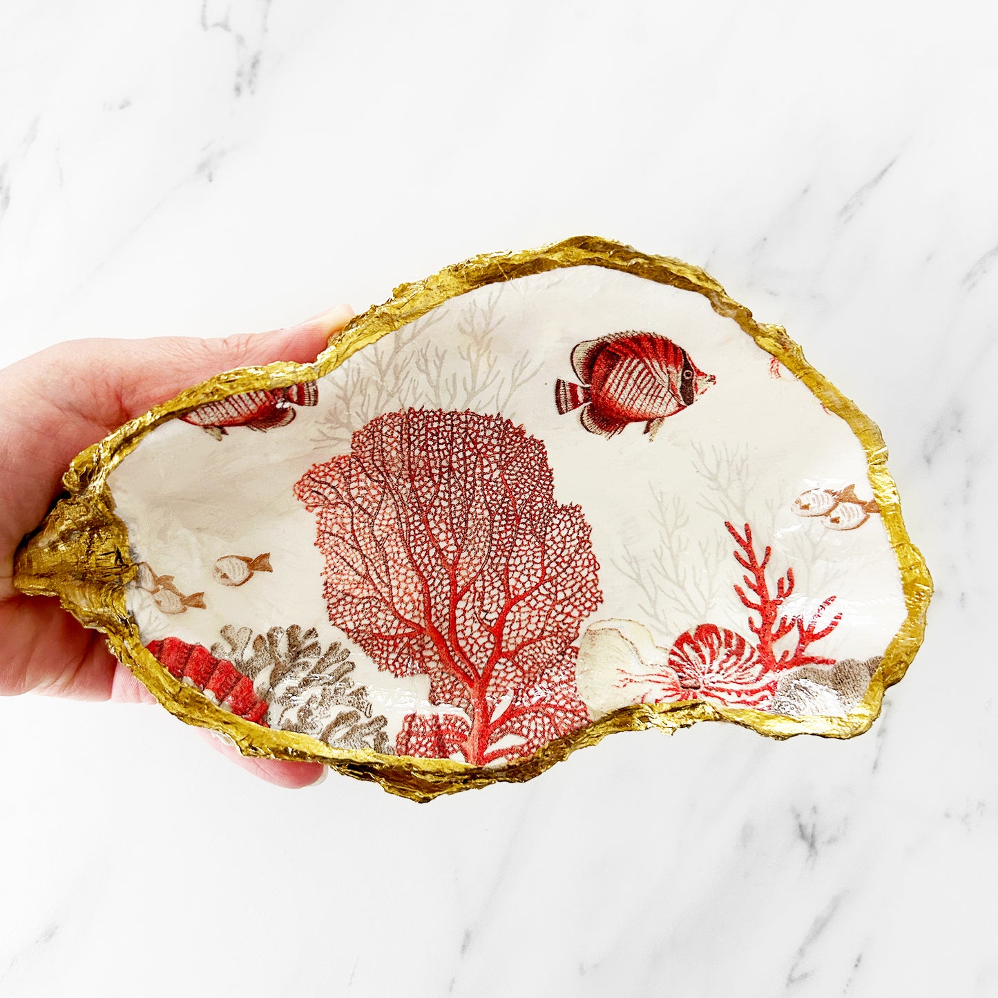 Large Red Coral Seas Oyster Shell One-of-a-Kind