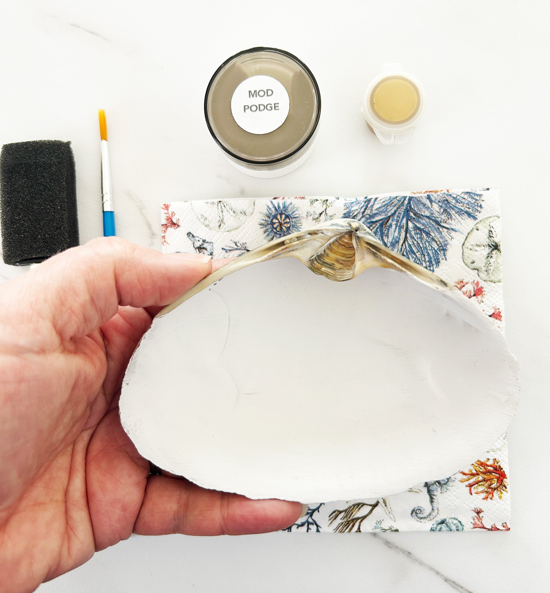 Hand holding a white shell with Mod Podge and other supplies on a white background