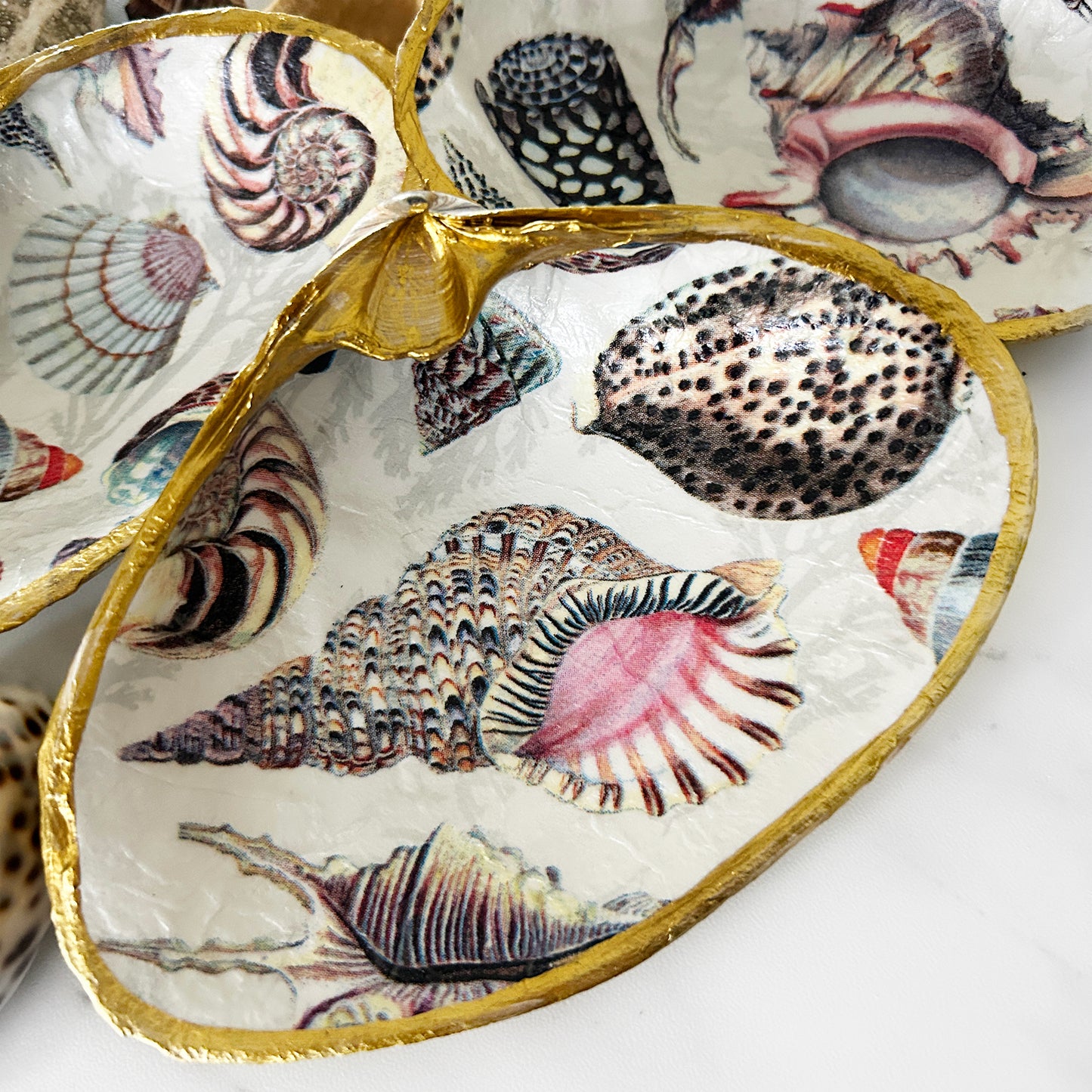 Seashell Collage Decoupage Clam Shell Trinket Dish