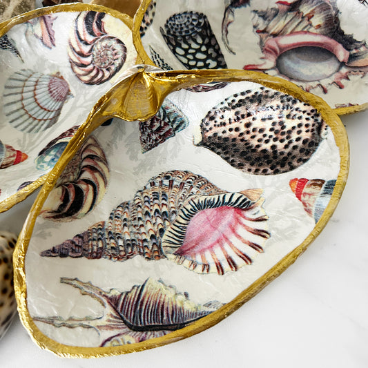 Seashell Collage Decoupage Clam Shell Trinket Dish