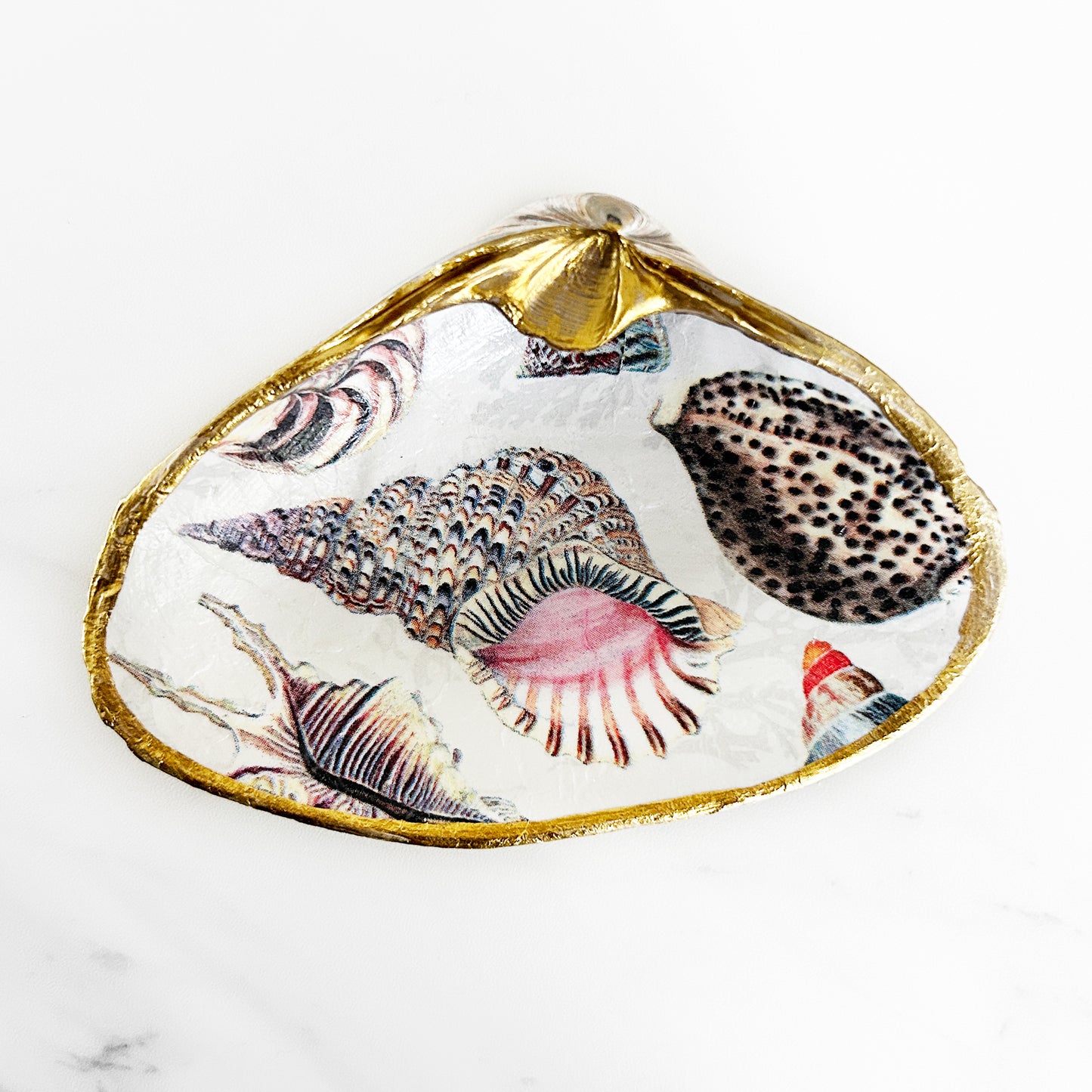 Seashell Collage Decoupage Clam Shell Trinket Dish