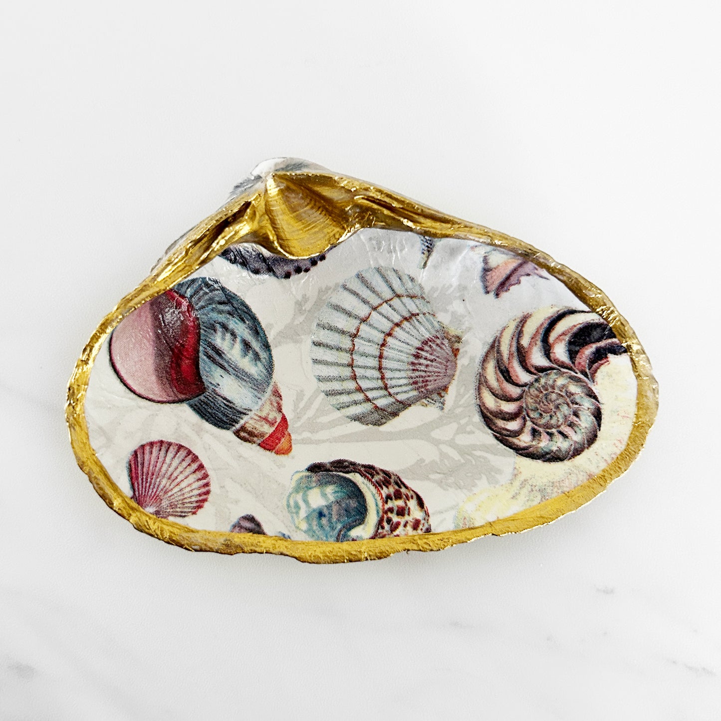 Seashell Collage Decoupage Clam Shell Trinket Dish