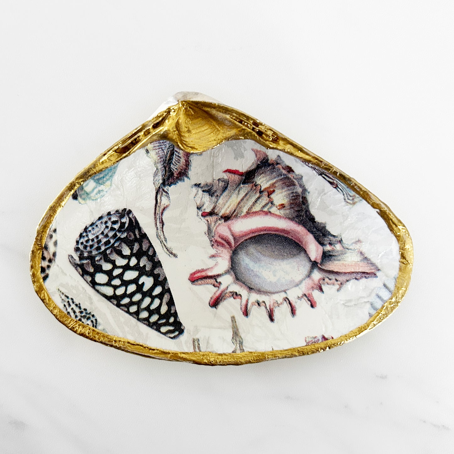 Seashell Collage Decoupage Clam Shell Trinket Dish