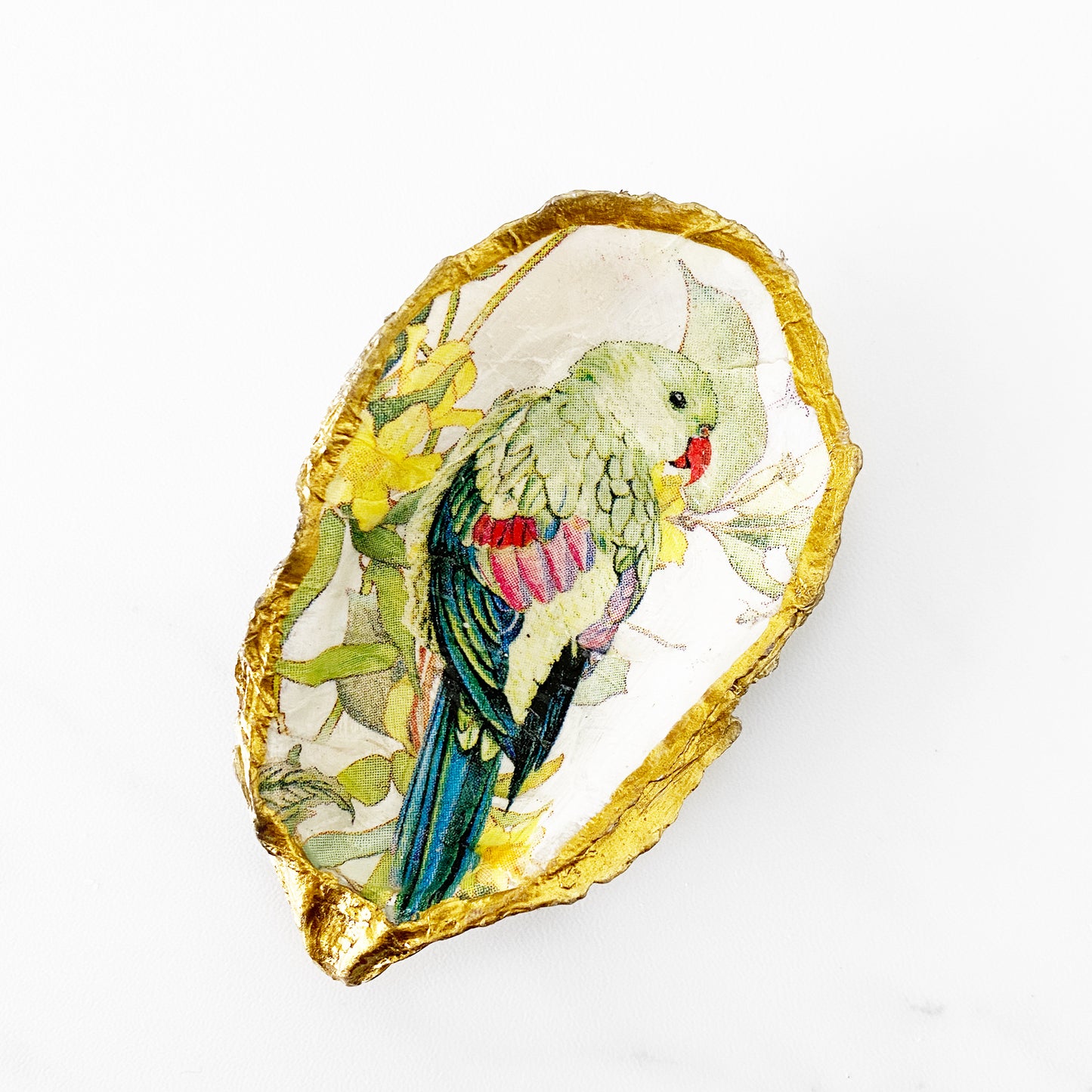 Tropical Parrot Decoupage Oyster Shell Trinket Ring Dish